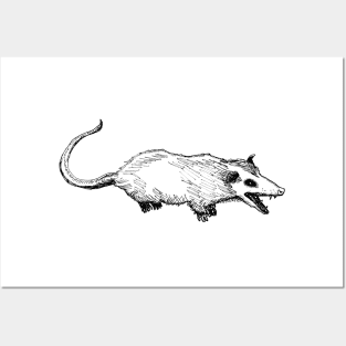 Opossum Posters and Art